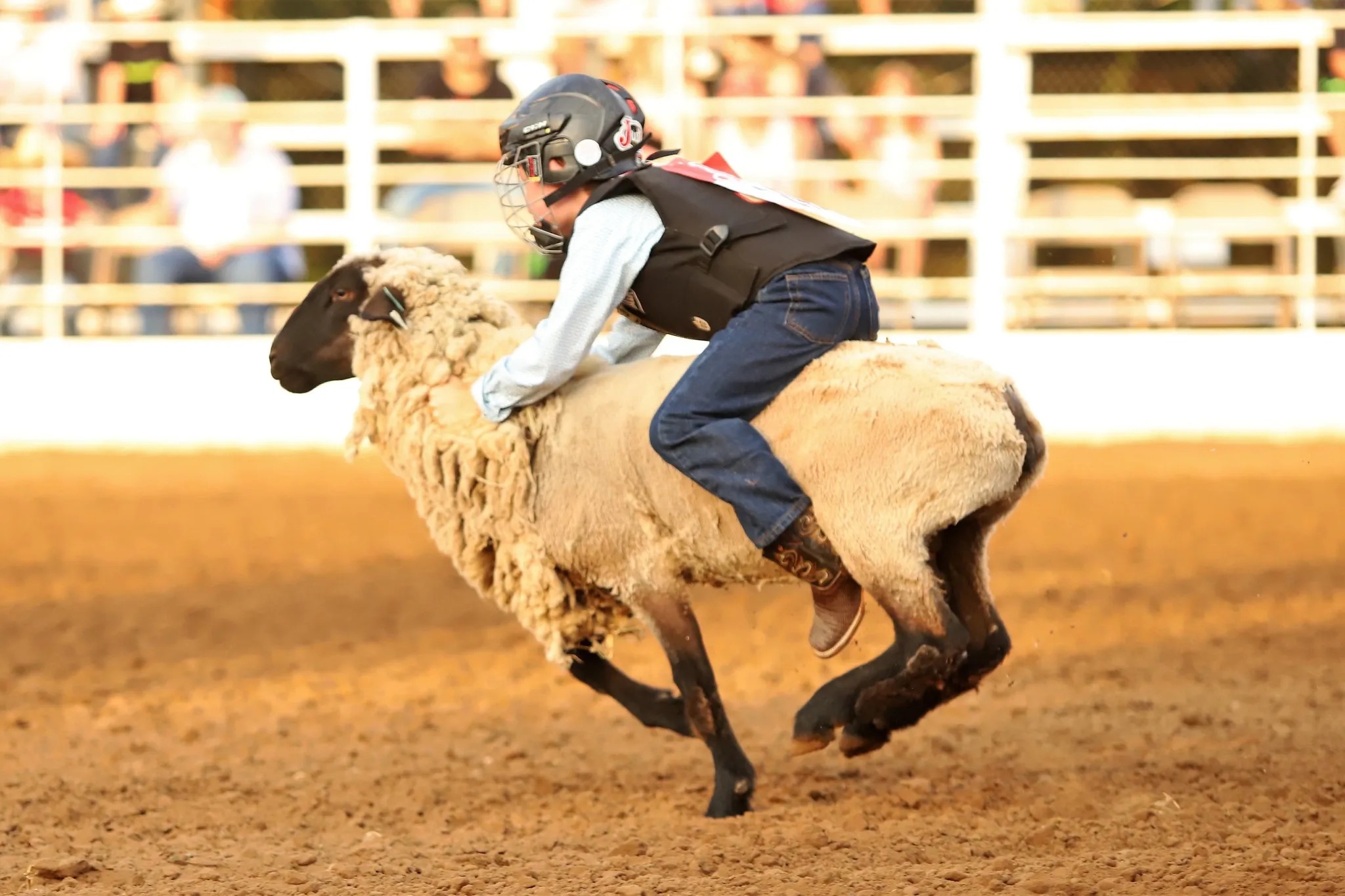 Cherry Days Jr. Posse Rodeo