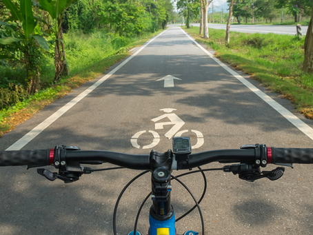 Bicycle handlebars on a path with bike lane markings and arrow. Lush green trees line the road, creating a serene outdoor setting.