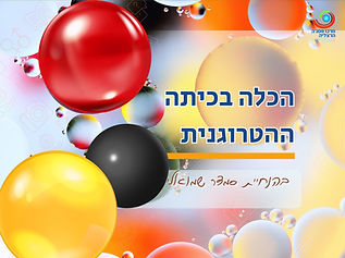 מרכז פסגה הרצליה פתרונות למידה