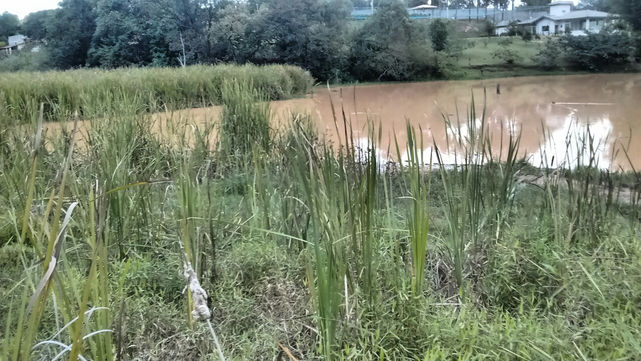 Ainda o lago