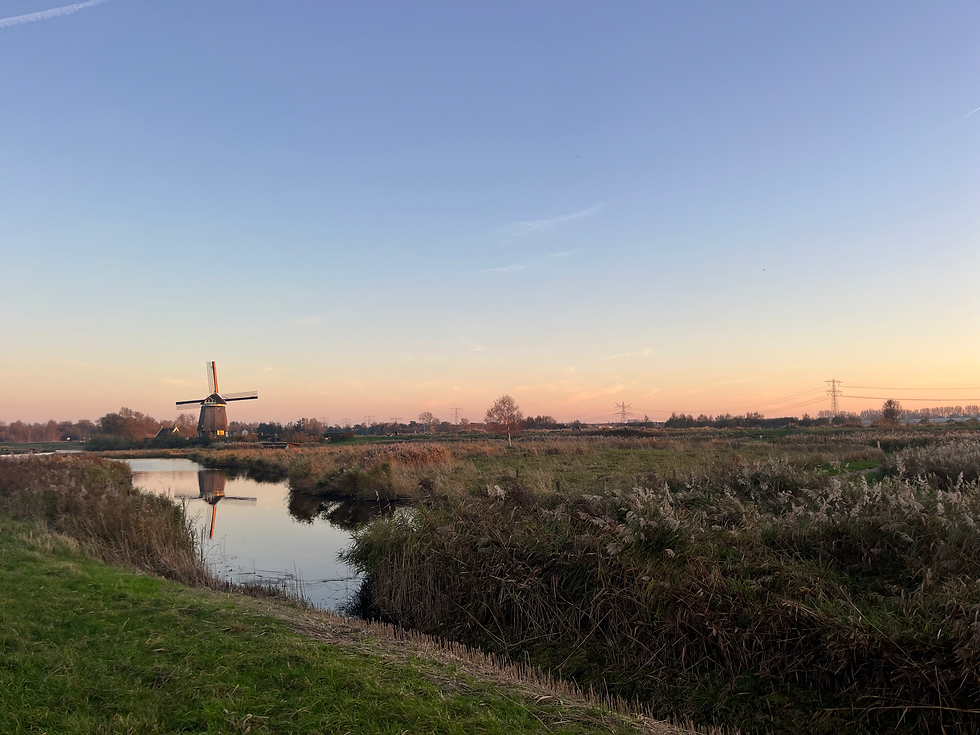 Thumbnail: Natuurfoto's Twiskemolen (set van 3)