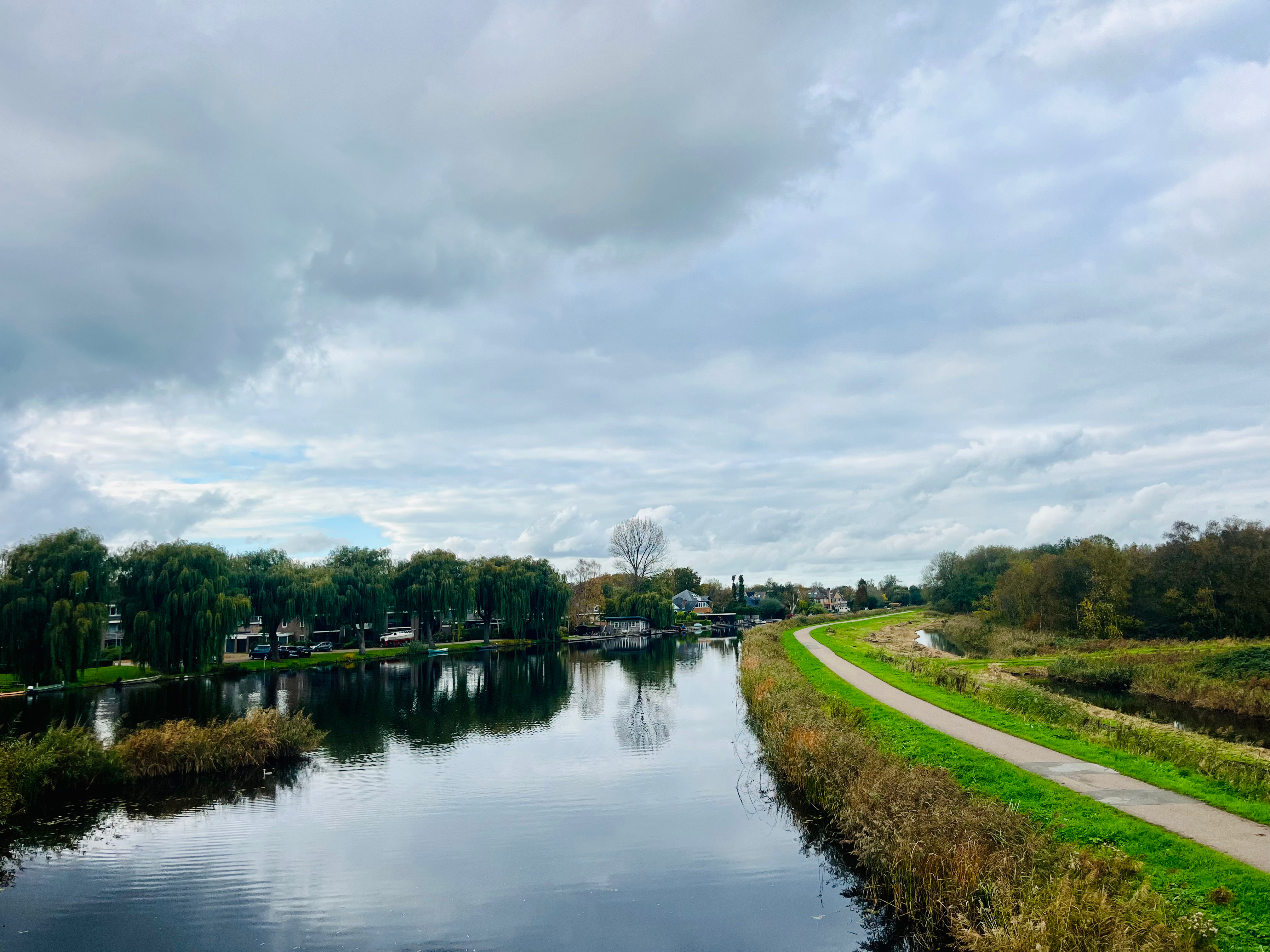 Foto Twiske Natuurgebied 
