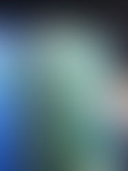 釧之助　オープン