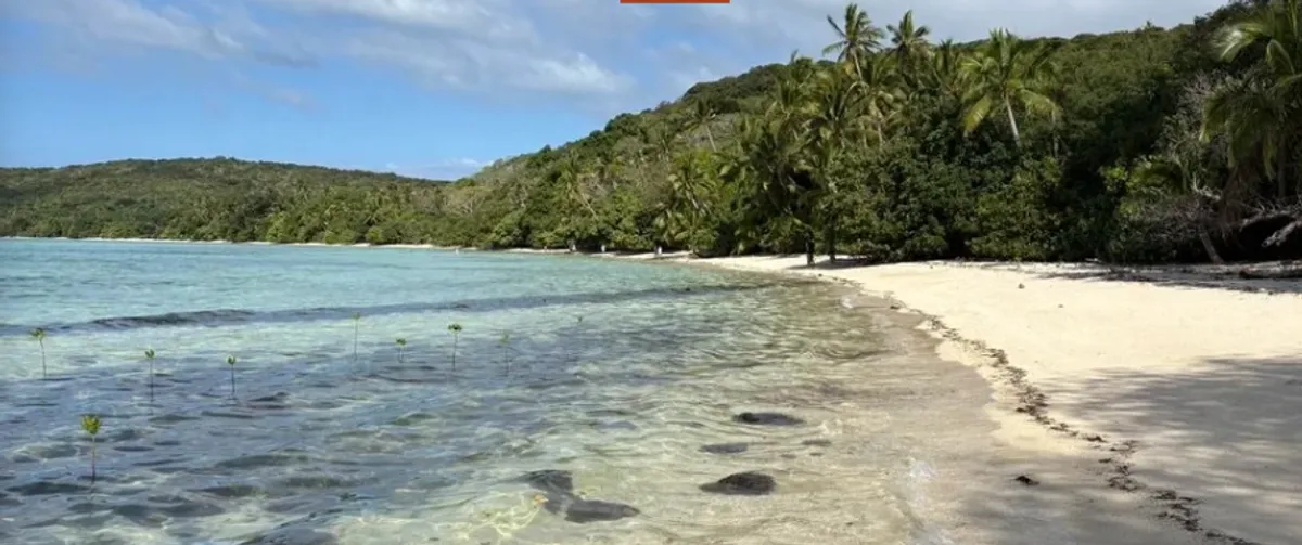 Gen Z Travels  - Fiji