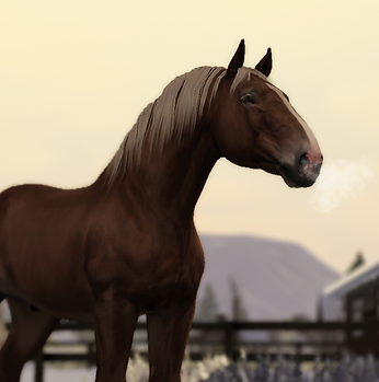 Untitled_Artwork (2).png
