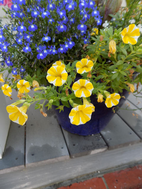 DSCN1041.JPG