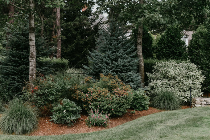 Reelin' Landscaping | Garden Party Cape Cod