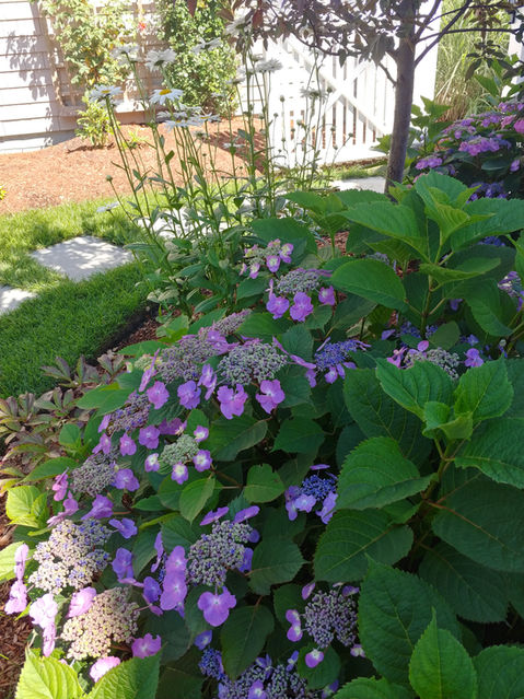 Reelin' Landscaping | Garden Party Cape Cod