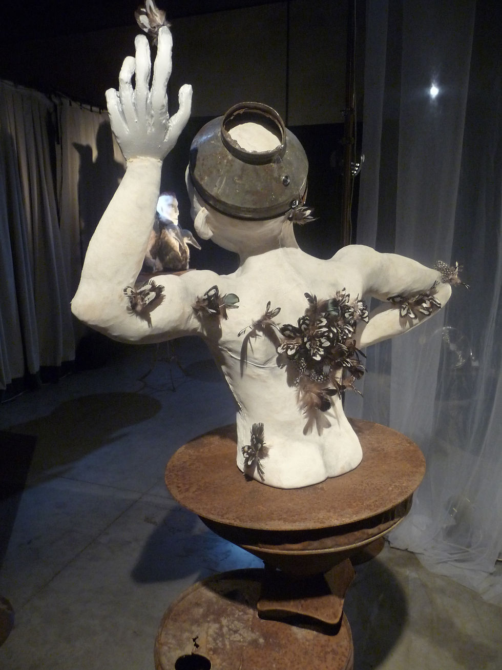 Homme papillon - Vue de dos