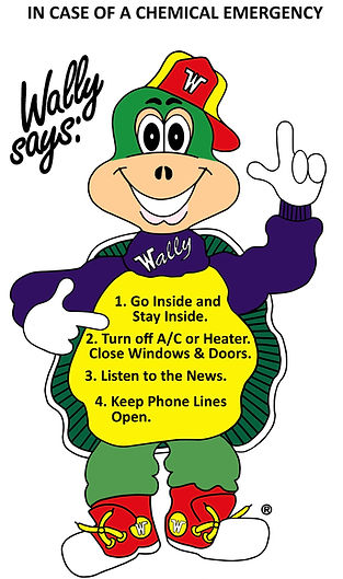 Wally Wise Guy safety steps