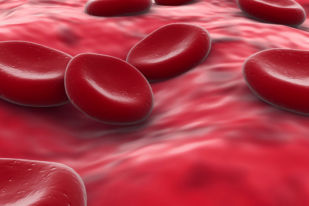 blood platlets.gif