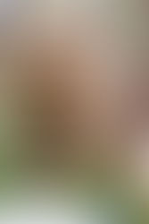 Tea House for Dior Bamboo Pavilion