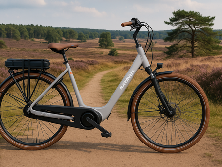 Nieuw in ons assortiment: de Batavus Altura – comfort & kwaliteit voor elke fietser