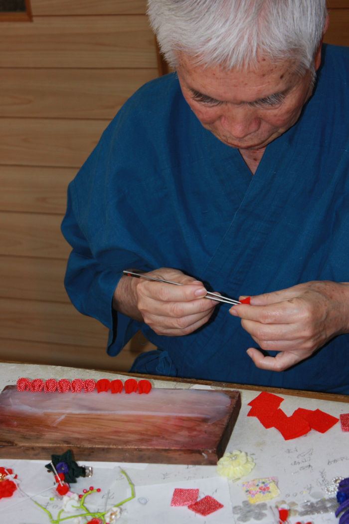 Master Hozumi Sensei