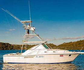 Marlin Fishing in Pursuit 35'