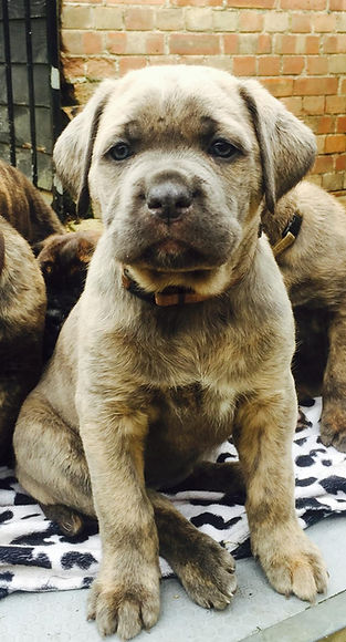 WhatsApp Image 2025-12-08 at 13.20.40.jpeg