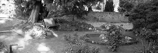 salbei als zimmerpflanze Pfeffer Salbei – Kräuterfritz main image 1