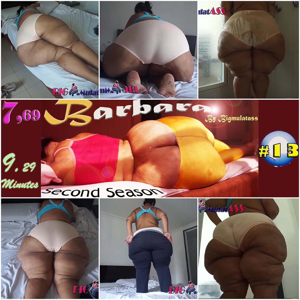 PORTADA VID 13