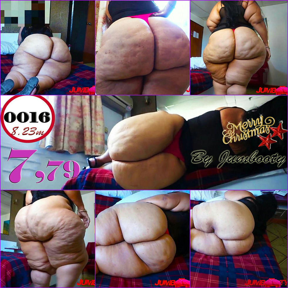 PORTADA 16