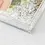 Miniatura: Snowbox