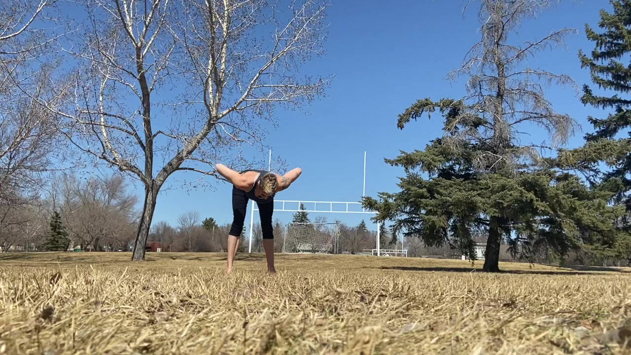 Longevity Through Movement - 6 Week Program