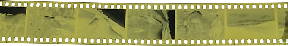 20250630_190418_edited.jpg