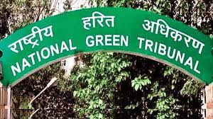 NGT strict on illegal felling and pruning of green trees in Delhi's Vasant Vihar