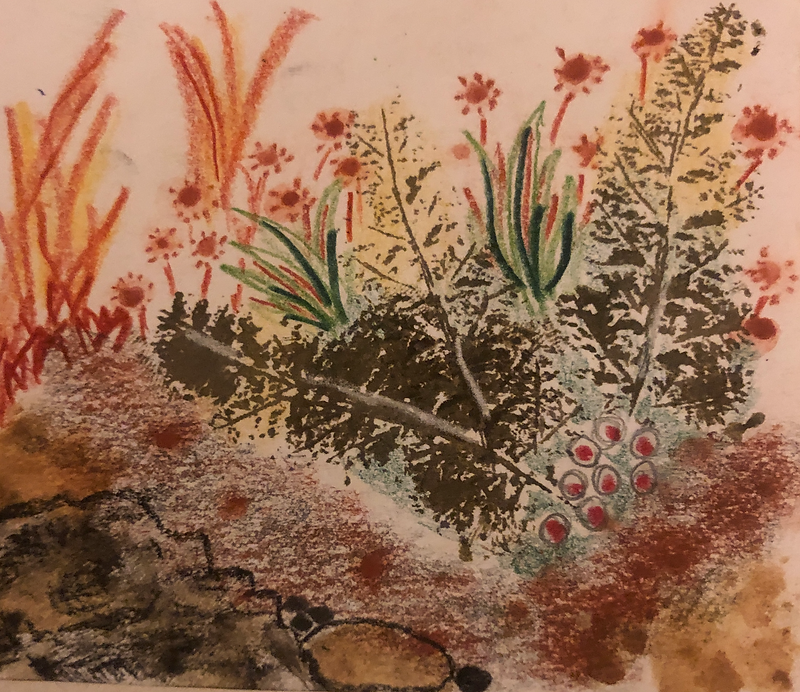 winter garden.jpg