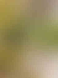 Generationenspielplatz Münster