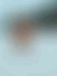 Kids Park Klaus Äuele