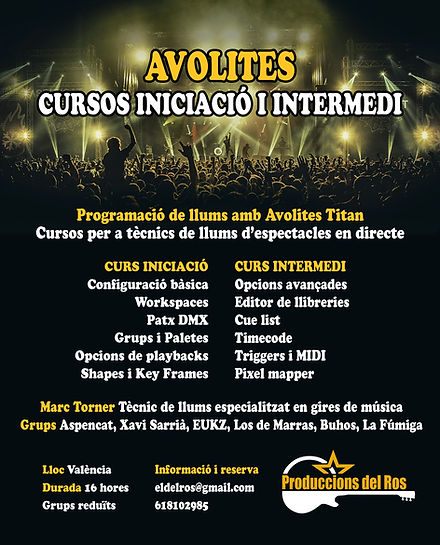 Curs Avolites xarxes.jpg