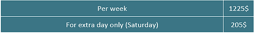 Cabin only family .png