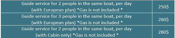 guide service.png