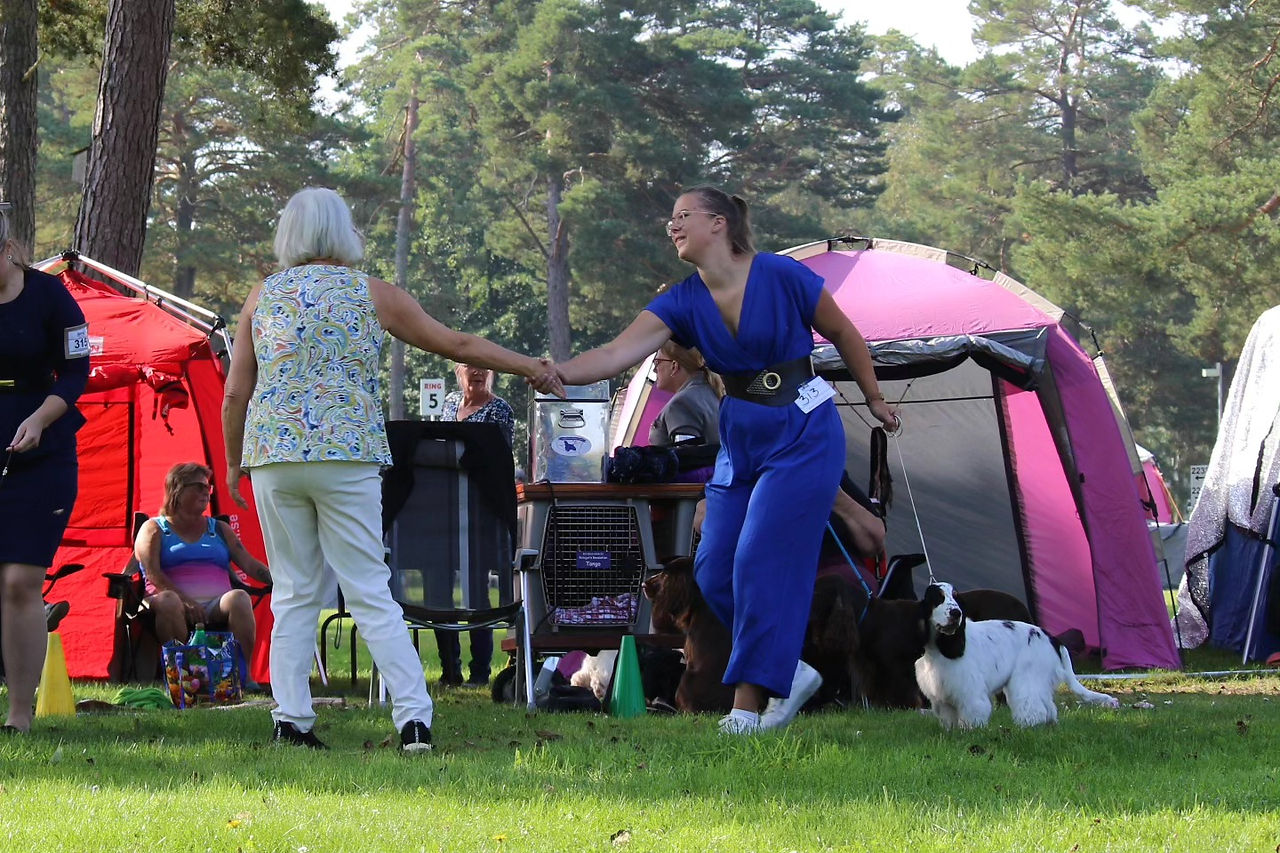 Ad Vitam Amicus Nova Vita (Evi) on the dogshow in Öland