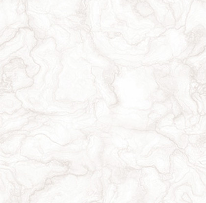 Page-Background-White-1.jpg