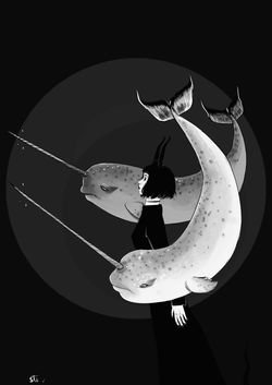 Narwhal of intuition