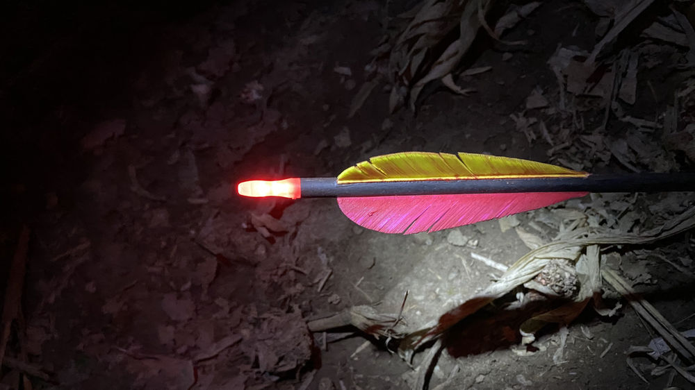 How Long Do You Wait After Shooting a Deer?