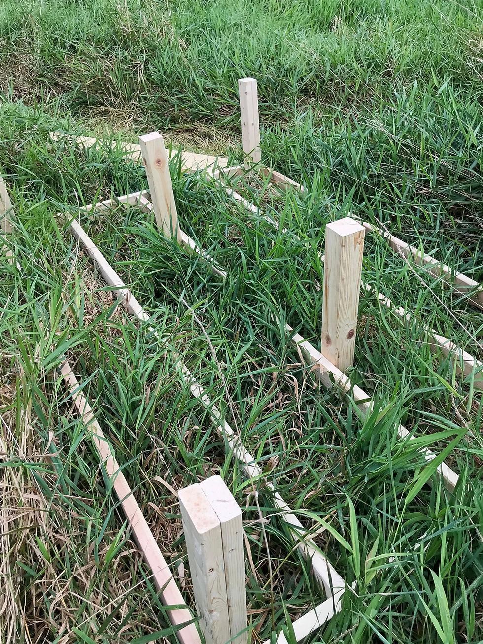 construction lumber framed for ground hunting blind with wood legs