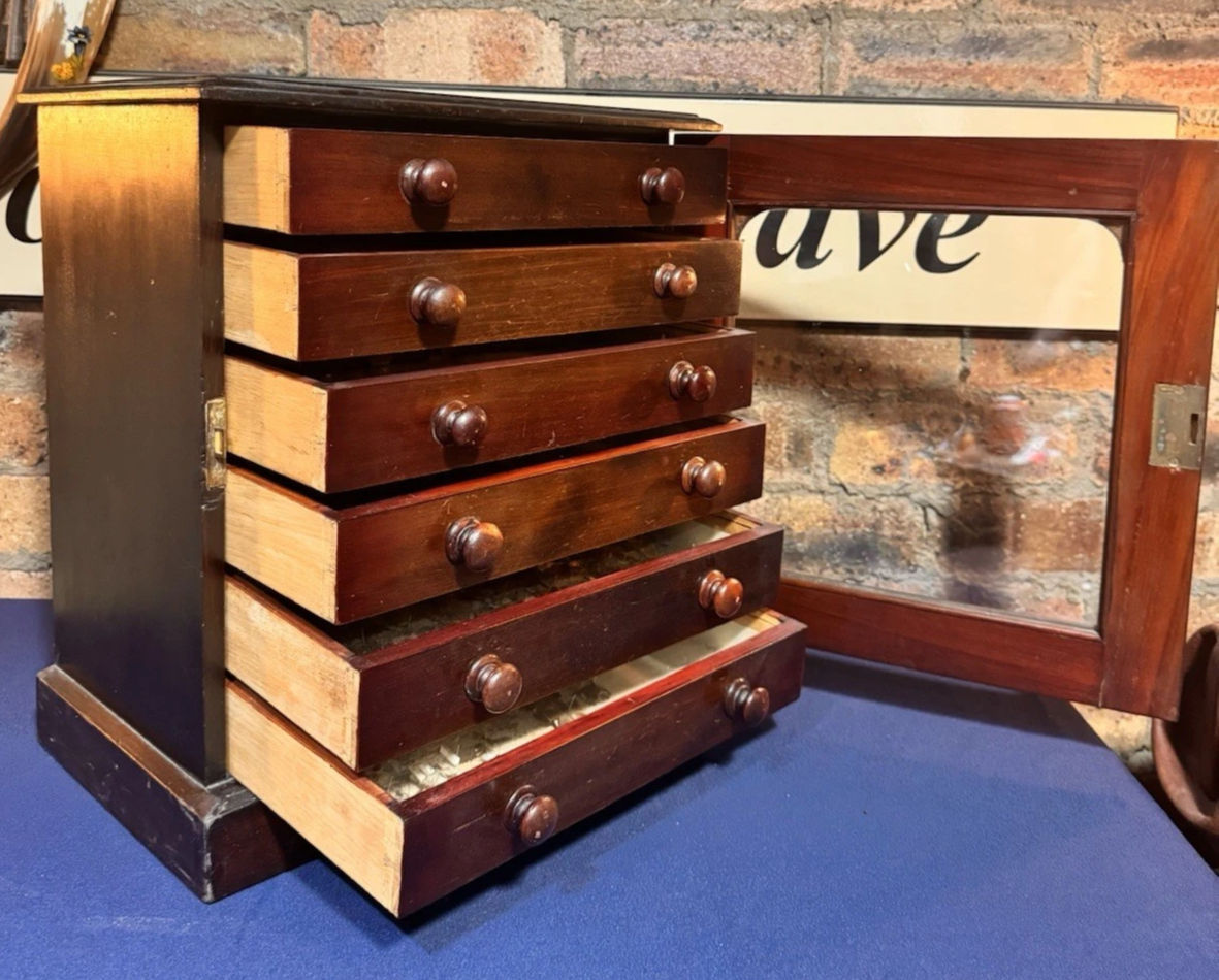 Insect Collection In Cabinet. 6 Drawers. Beetles, Flies Bees N Wasps, Moths Etc