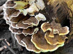 Blog Bite - Pro Active