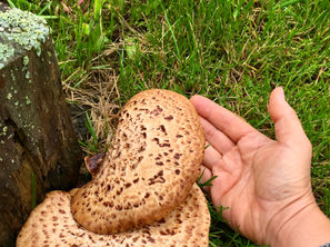 Blog Bite - Pro Humanity