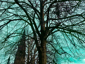 Where Science & Spirituality Meet