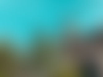 Blog Bite - Pro Community