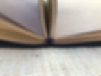 Miniatura: Fauxdori a5 - traveller notebook - Amarelo Mostarda
