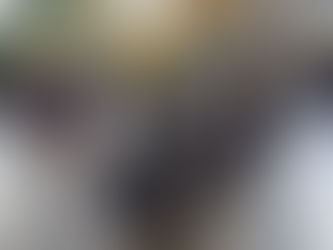 Legacy Through the Storm: The Blueprint of Black Resilience