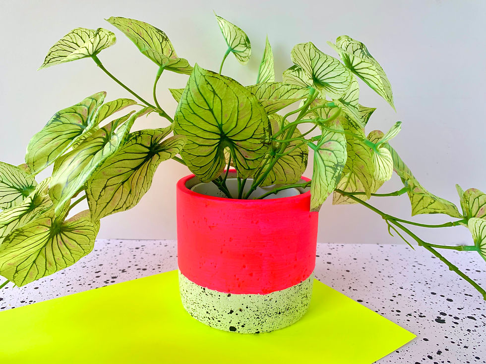 Thumbnail: Colour Block & Black Speckles Plant Pot