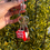 Thumbnail: Self Luv Club— Bag Charm