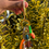Thumbnail: Orange Pea— Bag Charm