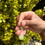 Thumbnail: Jade— Crystal belly ring 