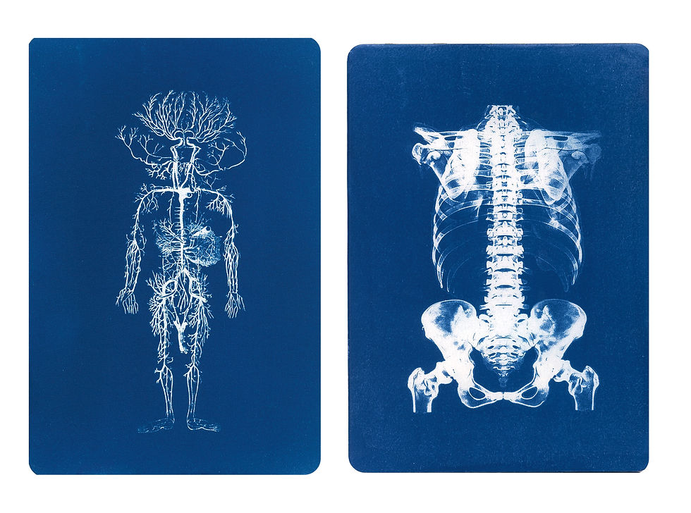 Thumbnail: Kit  ANATOMIE  I
